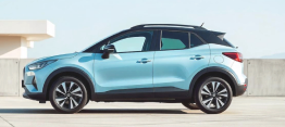 BolgAuto